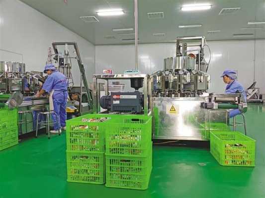 郴州魔芋种植基地 郴州即食魔芋食品机械厂