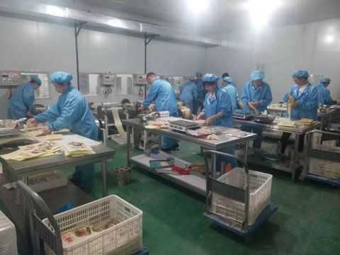  青岛大丰食品机械制造招聘「青岛食品厂招工包吃住」